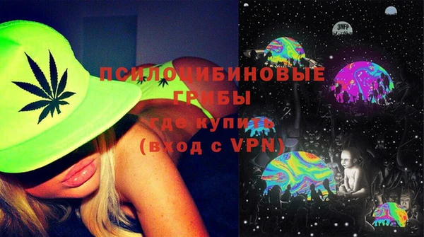 тгк Арсеньев