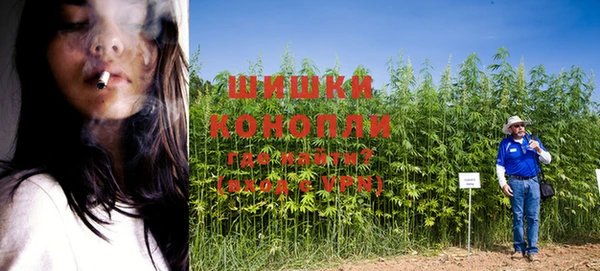 каннабис Аркадак
