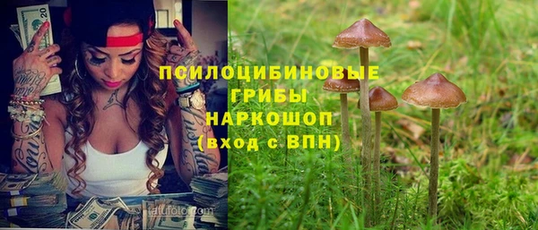 каннабис Аркадак