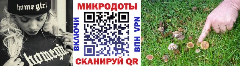 Галлюциногенные грибы прущие грибы  наркота  нарко площадка наркотические препараты  Менделеевск 
